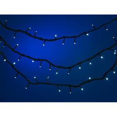 н.г.эл.гирл.наружн.31в.гидроизол.240л.LED (4/8ф)11.95м+5м бел.цв.в кор.(зелен.провод)